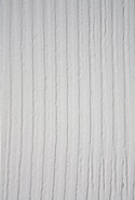 ܹ2