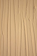 ܹ5